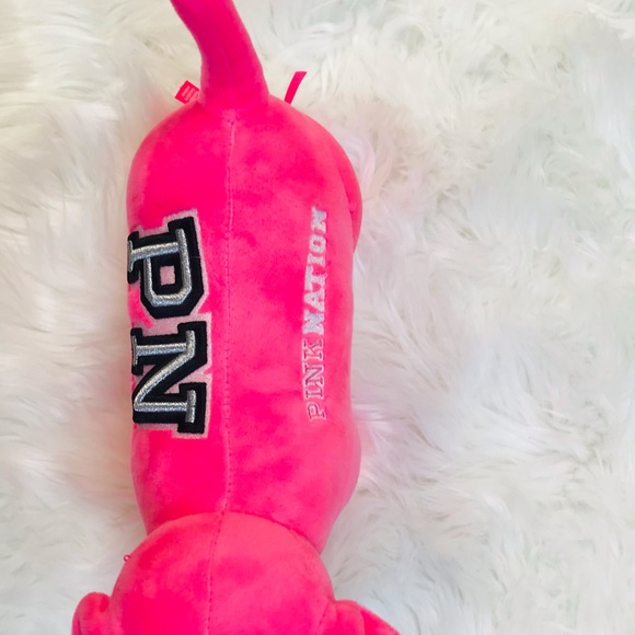 VS Pink Oversized Cozy Dog/Tote Set - Picture 5 of 7